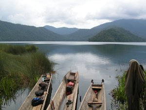 <strong>Lire la suite</strong><br>Sulawesi (célèbes) Sulawesi (célèbes)